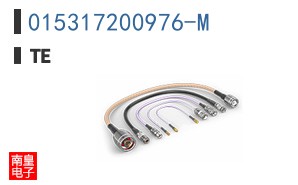 015317200976-M