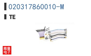 020317860010-M