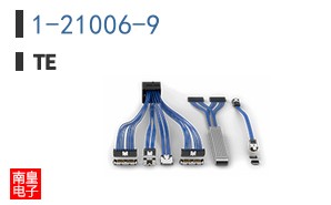 1-21006-9