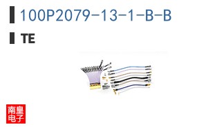 100P2079-13-1-B-B