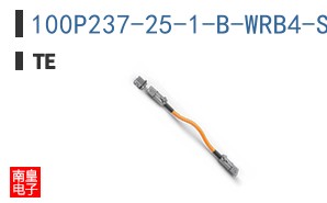 100P237-25-1-B-WRB4-S25