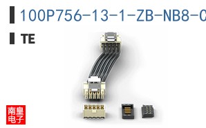 100P756-13-1-ZB-NB8-CF
