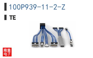 100P939-11-2-Z