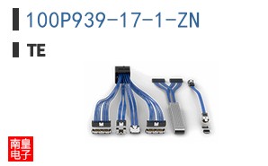 100P939-17-1-ZN