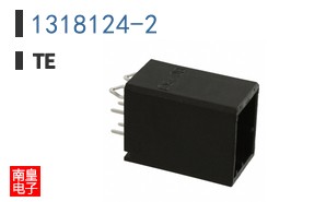 1318124-2