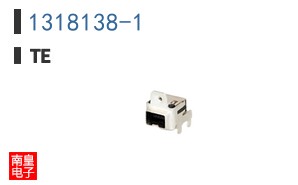1318138-1