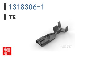 1318306-1