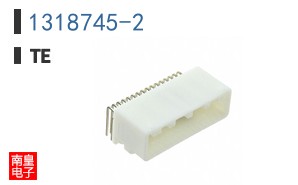 1318745-2
