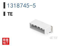 1318745-5