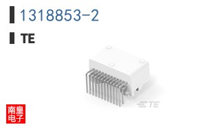 1318853-2