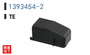 1393454-2