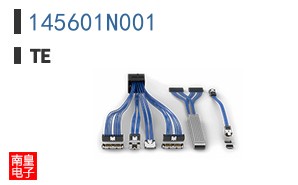 145601N001