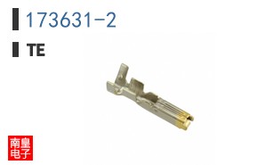 173631-2