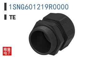 1SNG601219R0000