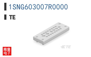 1SNG603007R0000