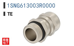 1SNG613003R0000