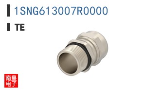 1SNG613007R0000