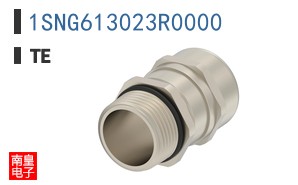 1SNG613023R0000