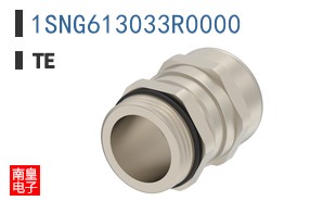 1SNG613033R0000