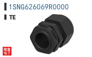1SNG626069R0000