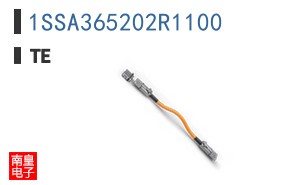 1SSA365202R1100