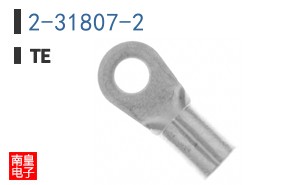 2-31807-2