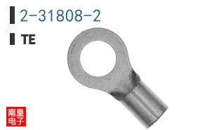 2-31808-2