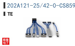 202A121-25/42-0-CS8590