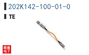 202K142-100-01-0