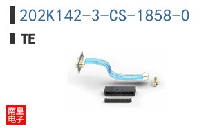 202K142-3-CS-1858-0