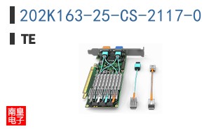 202K163-25-CS-2117-0