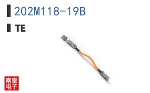 202M118-19B