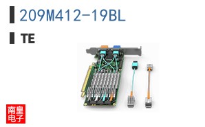 209M412-19BL