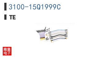 3100-15Q1999C