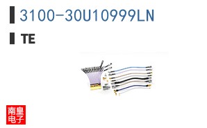 3100-30U10999LN