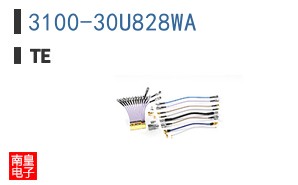 3100-30U828WA