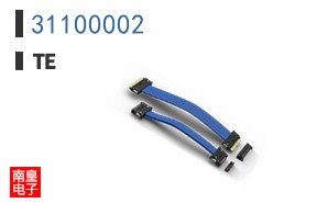 31100002