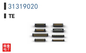 31319020