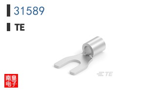 31589