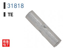 31818