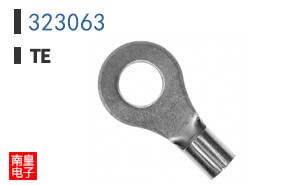 323063