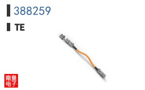 388259
