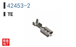 42453-2