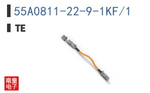 55A0811-22-9-1KF/1