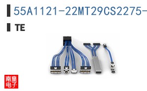 55A1121-22MT29CS2275-L013