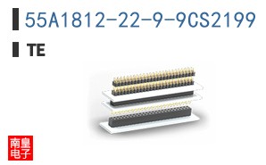 55A1812-22-9-9CS2199