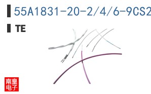 55A1831-20-2/4/6-9CS2275