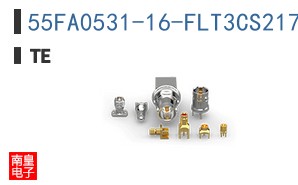 55FA0531-16-FLT3CS2172