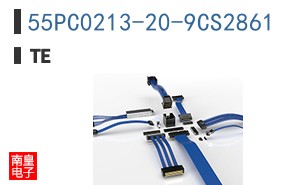 55PC0213-20-9CS2861