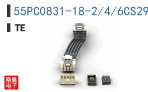 55PC0831-18-2/4/6CS2970